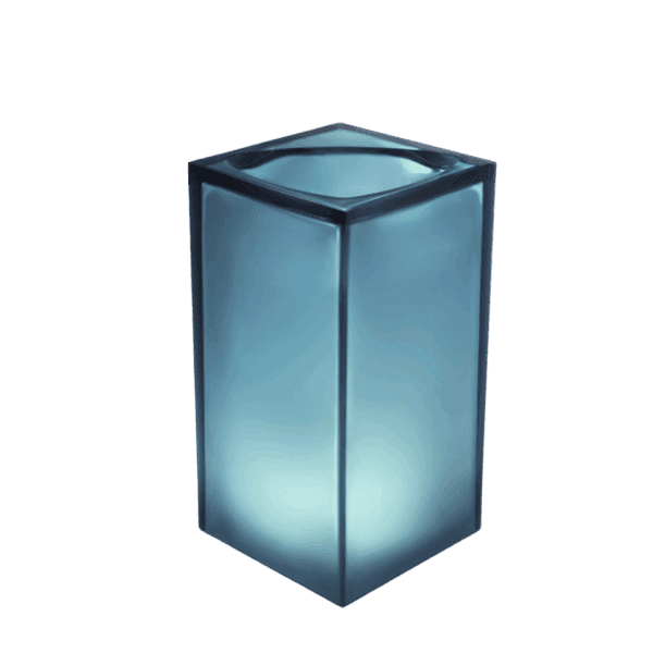 VELA